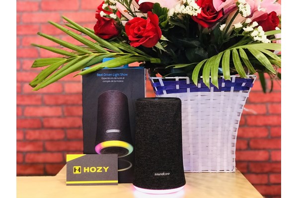 Loa Bluetooth Anker Soundcore Flare 12W IPX7 - A3161