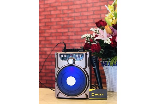 LOA KARAOKE XÁCH TAY MINI BLUETOOTH P88 + TẶNG KÈM MICRO
