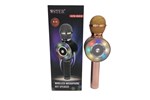 MIC KARAOKE WS669