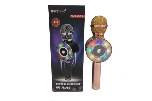MIC KARAOKE WS669