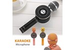 MIC KARAOKE WS669