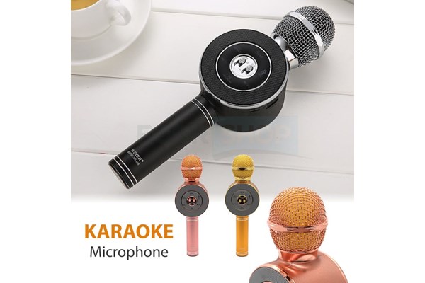MIC KARAOKE WS669