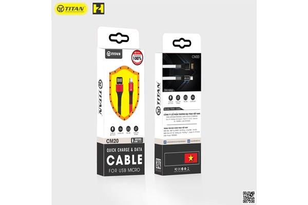 Cáp Dây Dẹt Chân MICRO 1m TITAN - CM20