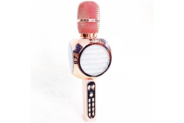 MÍC KARAOKE YS90