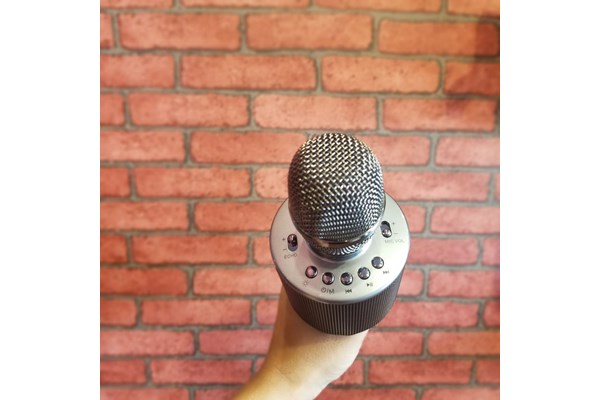 Mic hát đôi Titan M01
