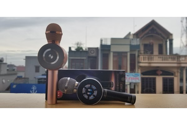 MIC KARAOKE WS669