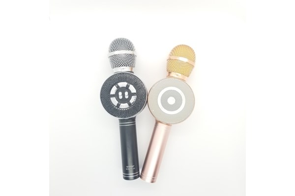 MIC KARAOKE WS669