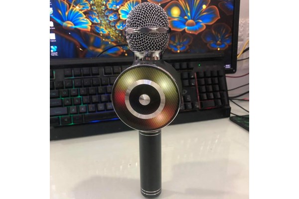 MIC KARAOKE WS669