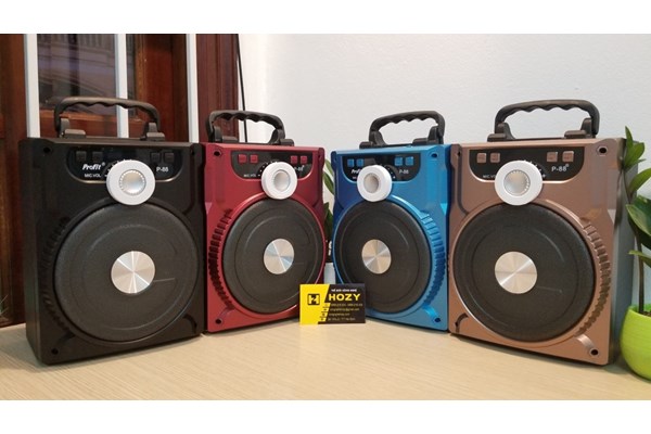 LOA KARAOKE XÁCH TAY MINI BLUETOOTH P88 + TẶNG KÈM MICRO