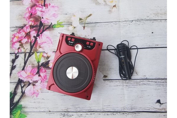 LOA KARAOKE XÁCH TAY MINI BLUETOOTH P88 + TẶNG KÈM MICRO