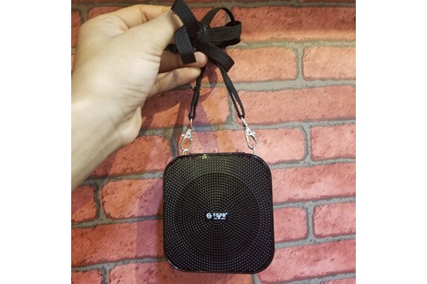 Loa trợ giảng không dây See Me Here T900 UHF