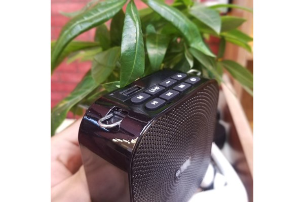 Loa trợ giảng không dây See Me Here T900 UHF