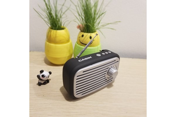 Loa Bluetooth Casim L-G32