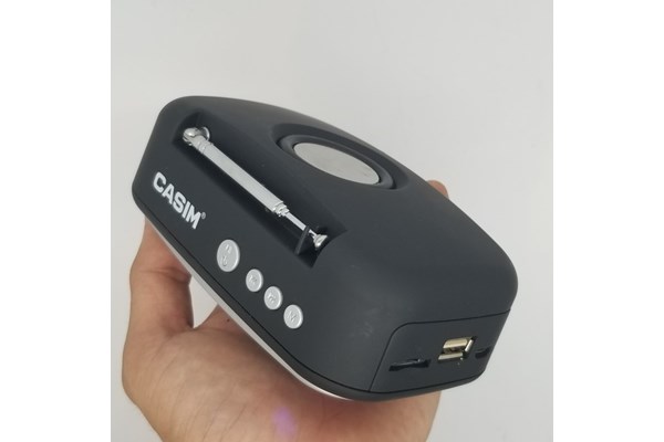 Loa Bluetooth Casim L-G32