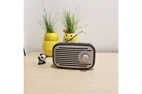 Loa Bluetooth Casim L-G32