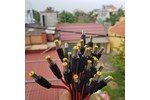 Jack DC đực 5.5mm cho camera
